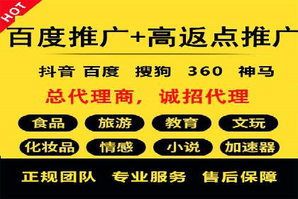 成功案例：网络推广与竞价广告的完美结合