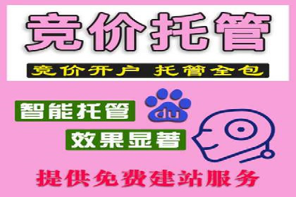 百度推广优化：案例分析网站流量翻倍技巧